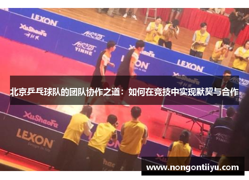 北京乒乓球队的团队协作之道：如何在竞技中实现默契与合作