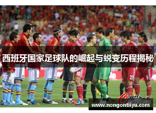 西班牙国家足球队的崛起与蜕变历程揭秘