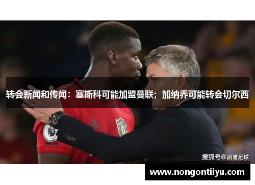 转会新闻和传闻：塞斯科可能加盟曼联；加纳乔可能转会切尔西
